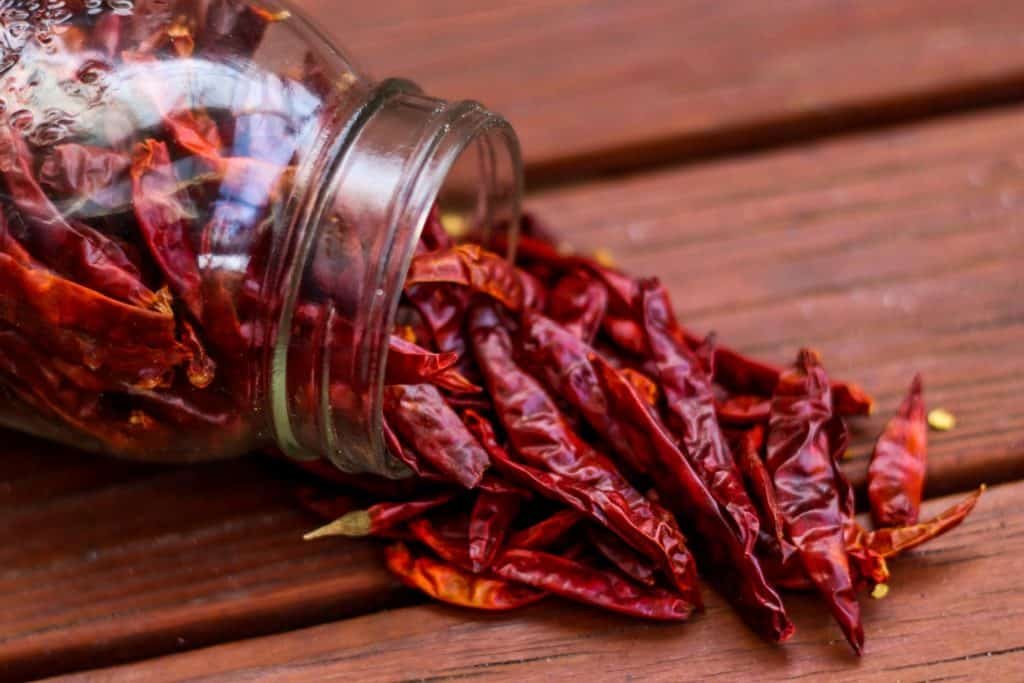 Hottest Indian Spice Chili