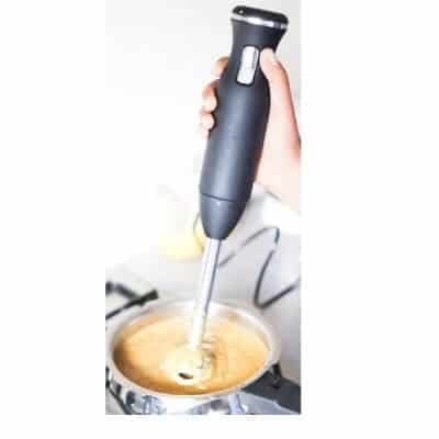 Indian Kitchen Gadget Immersion Stick Blender