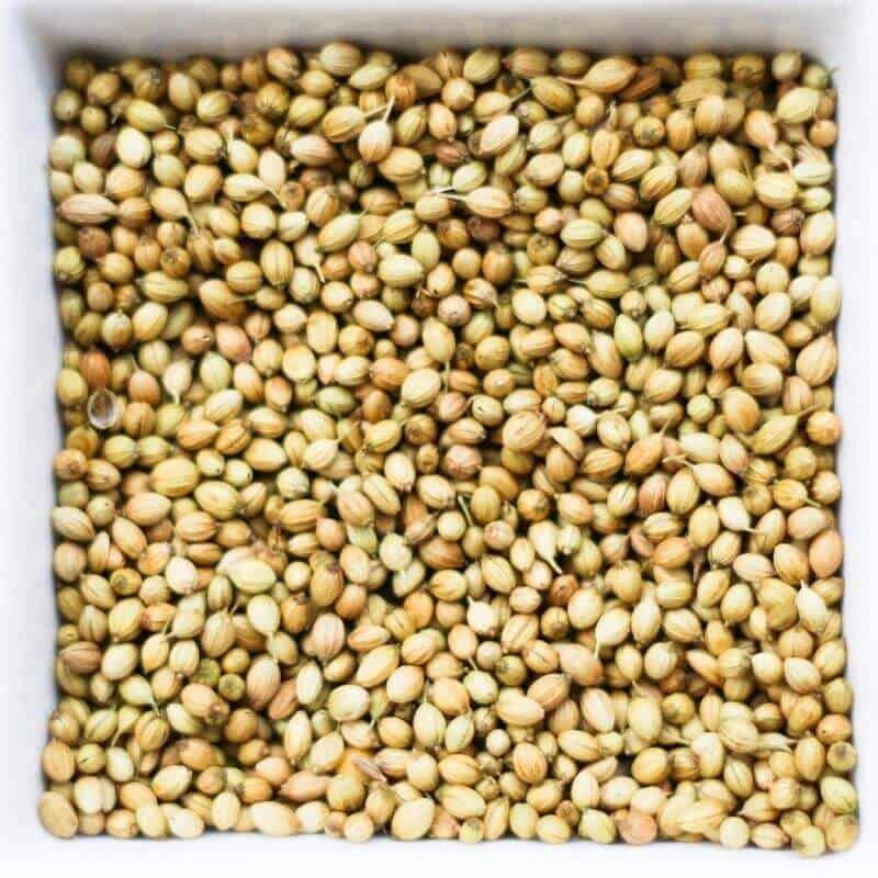 Benefits of Indian Spice Coriander