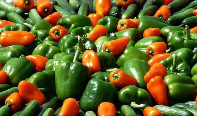 High Water Content Vegetables